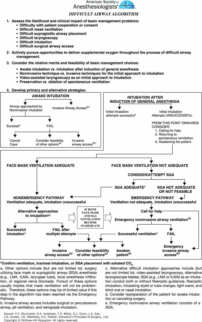 Anesthetic Airway Management AccessMedicine Network